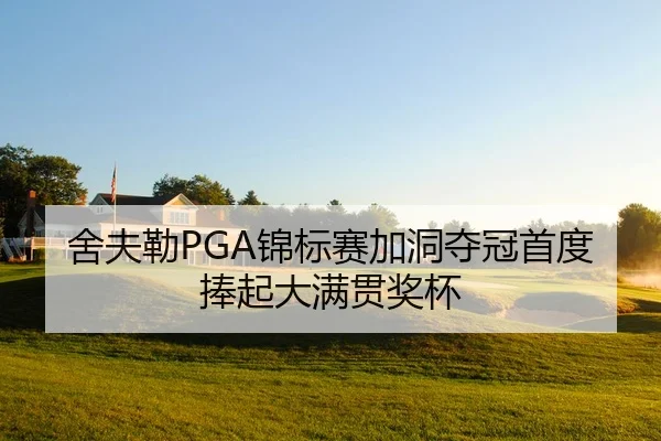 she-fu-lei-jin-biao-sai-jia-dong-duo-guan-shou-du-peng-qi-da-man-guan-jiang-bei-3-324.jpg