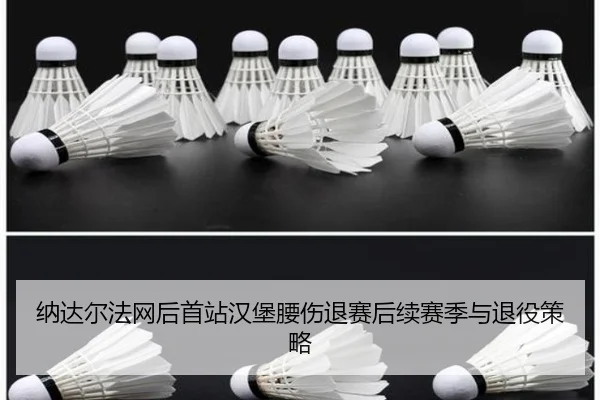 纳达尔法网后首站汉堡腰伤退赛后续赛季与退役策略